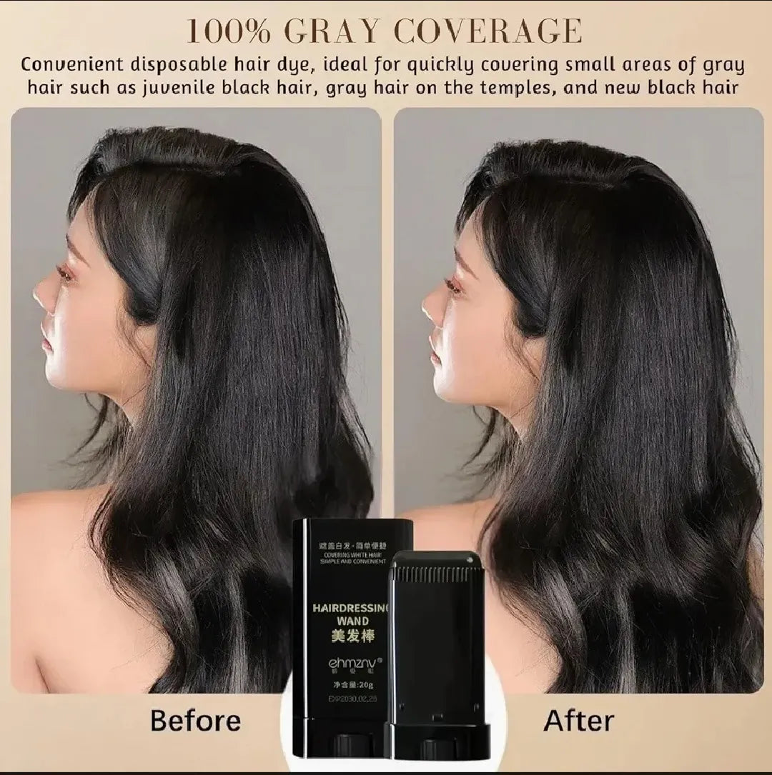 Gegemoon Black Hairdressing Wand β 2-in-1 Natural Color Touch-Up Stick -16g
